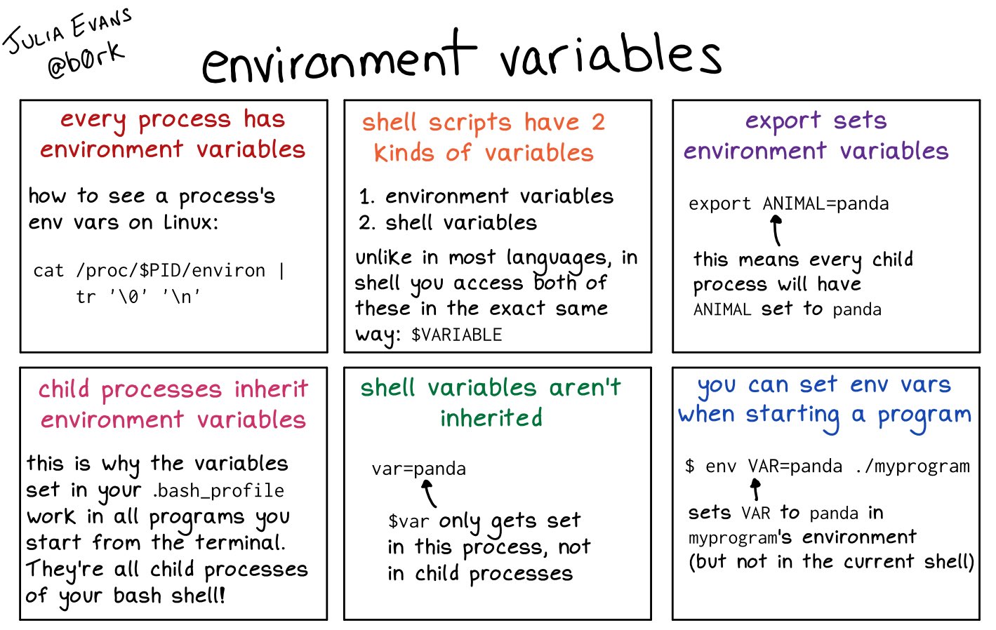 Bash Environment Variables