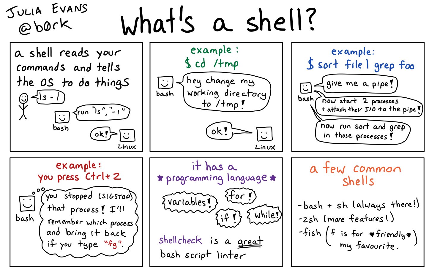 What is Shell
